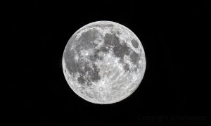 Sri Lanka Full Moon Poya Day